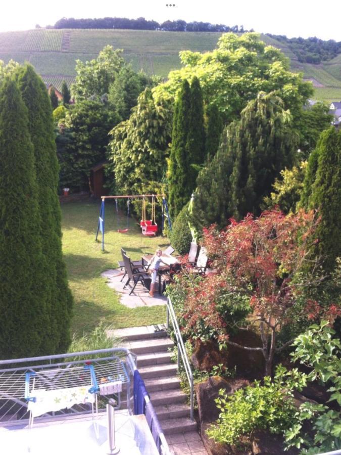 Doppelzimmer Mit Terrasse Zum Garten, Ruhig, Weinbergsblick, Zusaetzliches Kinderzimmer Anbei Moeglich Winningen Bagian luar foto
